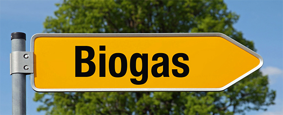 Producimos biogás