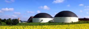 El Biogás, potencial para sustituir importaciones de gas