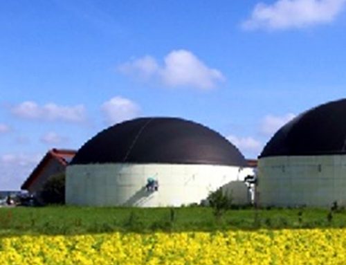 El biogás, un potencial para sustituir importaciones de gas que le ahorraría u$s 2.300 millones a la Argentina