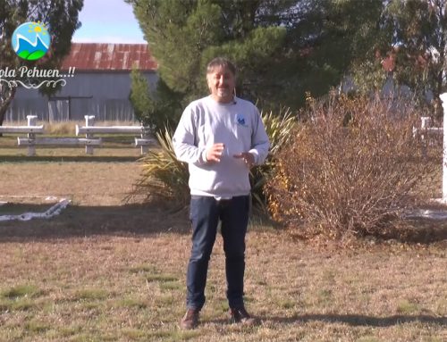 Hola Pehuen realizó un programa dedicado al proyecto “Polo Ecológico Chasicó”