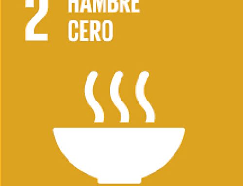 ODS #2: Hambre Cero